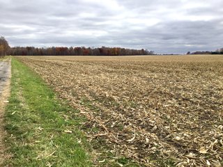Property photo 11 - REAL ESTATE AUCTION - 336.6+/- ACRES OFFERED IN 10 TRACTS IN WHITLEY COUNTY, INDIANA